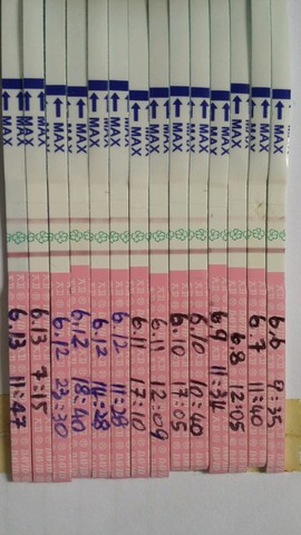 journal_insert_pic_242915536
