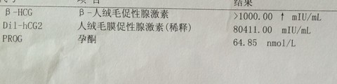journal_insert_pic_244143129