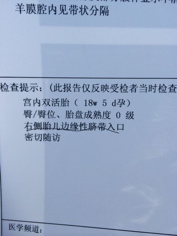 journal_insert_pic_244072237
