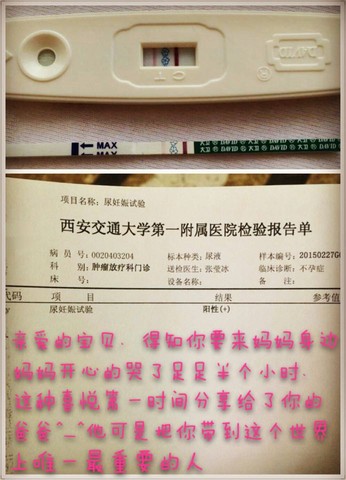 journal_insert_pic_243959790