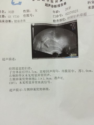 journal_insert_pic_244566510