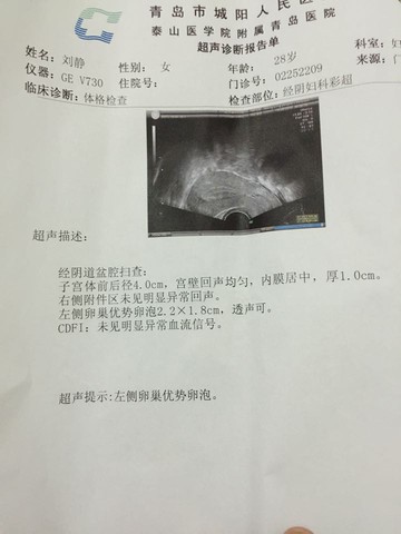 journal_insert_pic_244566523