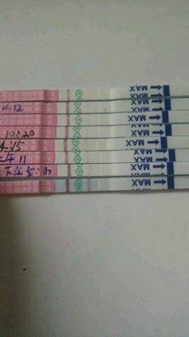 journal_insert_pic_244528230