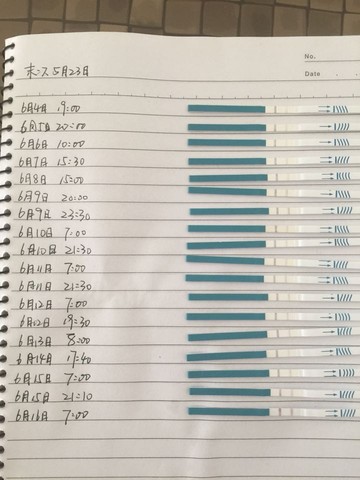 journal_insert_pic_244524074