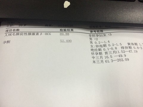 journal_insert_pic_244530059