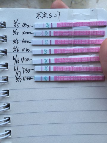journal_insert_pic_244771252