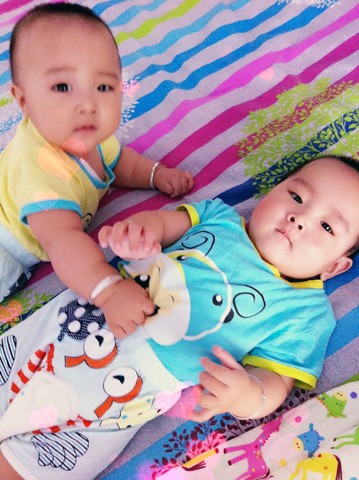 journal_insert_pic_245218992