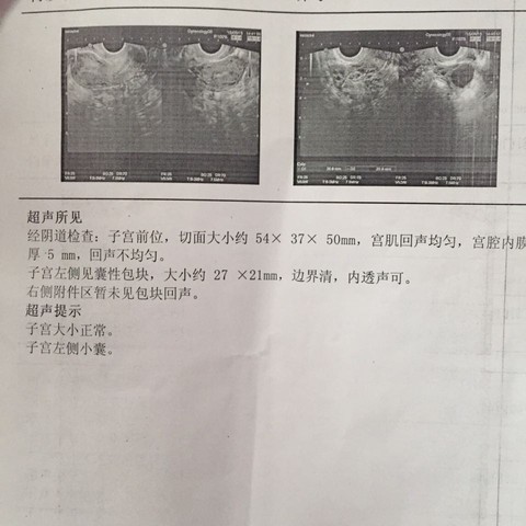 journal_insert_pic_245656986