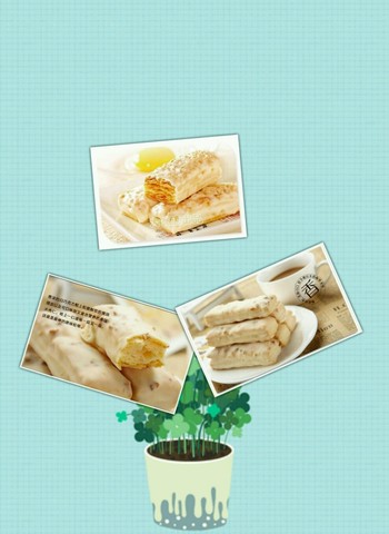 journal_insert_pic_245670710