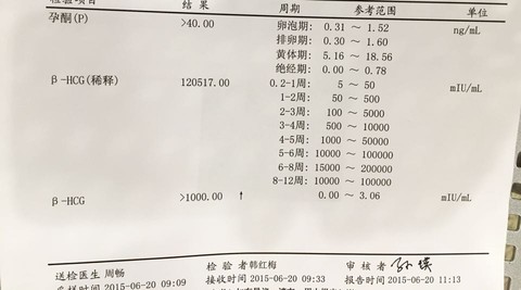 journal_insert_pic_245961156
