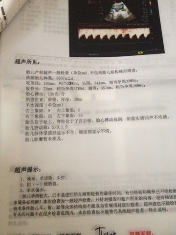 journal_insert_pic_245899866