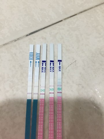 journal_insert_pic_246871124