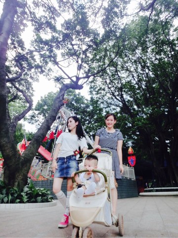 journal_insert_pic_247382306