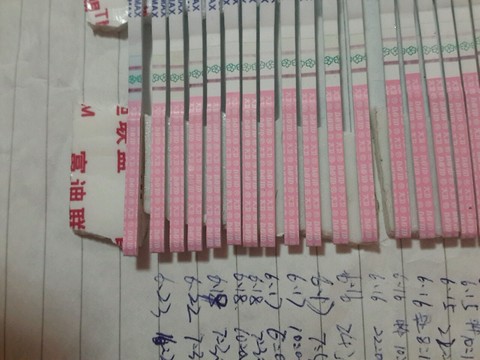 journal_insert_pic_248120686