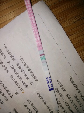 journal_insert_pic_247871284