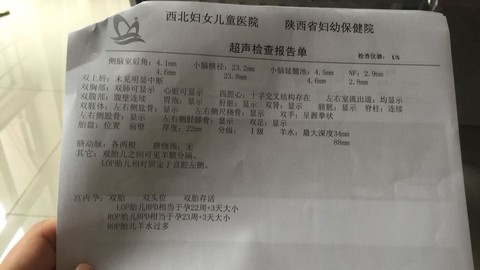 journal_insert_pic_248563368