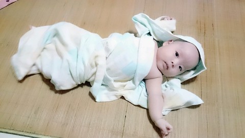 journal_insert_pic_249348617