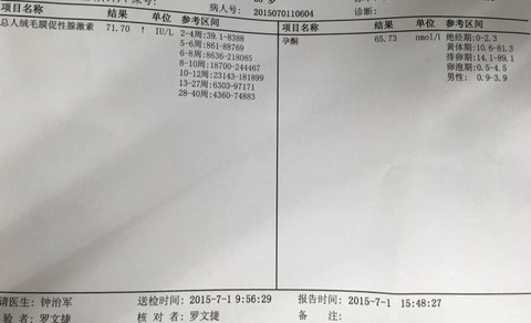 journal_insert_pic_251097610