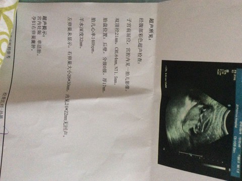 journal_insert_pic_251105394