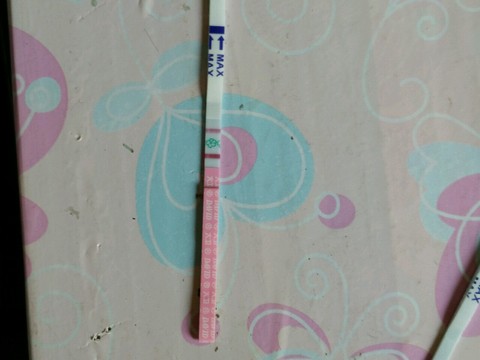 journal_insert_pic_251362723
