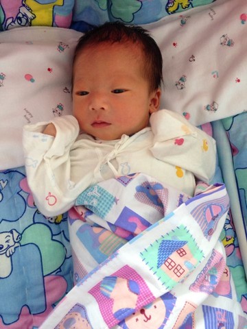 journal_insert_pic_251802352