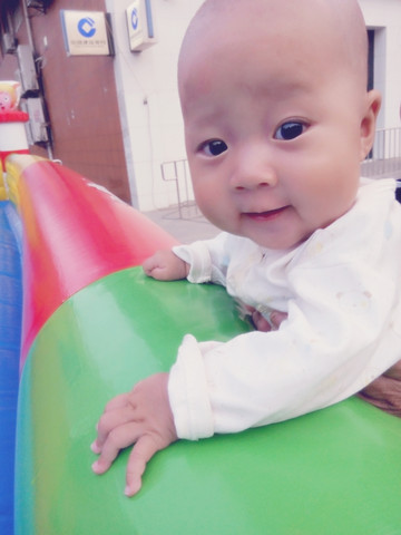 journal_insert_pic_251831228