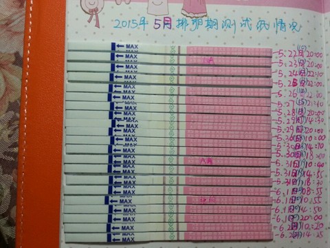 journal_insert_pic_251693263