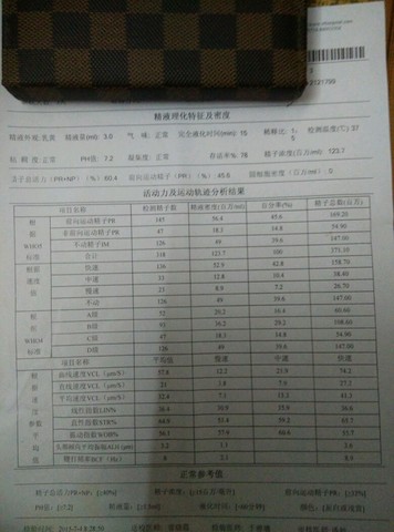 journal_insert_pic_252234707