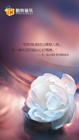 journal_insert_pic_252333530