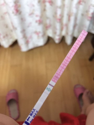 journal_insert_pic_252761571