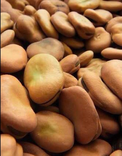 自制郫县豆瓣,直播啦!