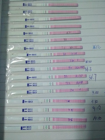journal_insert_pic_252768867