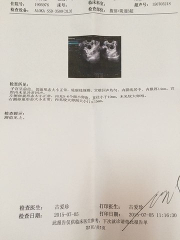 journal_insert_pic_252913116