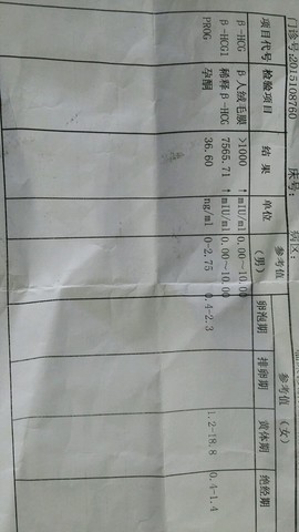 journal_insert_pic_253015089