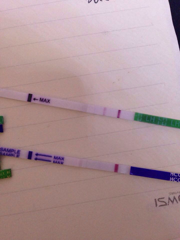 journal_insert_pic_253225712