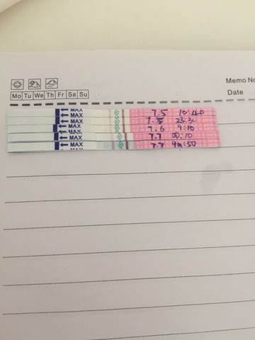 journal_insert_pic_253253919
