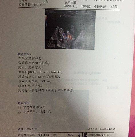 journal_insert_pic_253595397