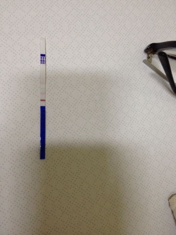 journal_insert_pic_253611807