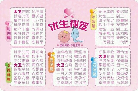 journal_insert_pic_253850175