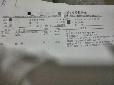 journal_insert_pic_253853324