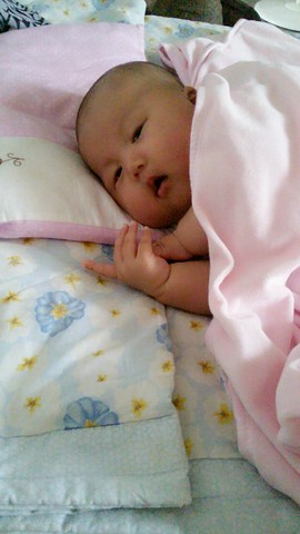 journal_insert_pic_254303646