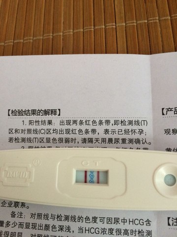 journal_insert_pic_254048569