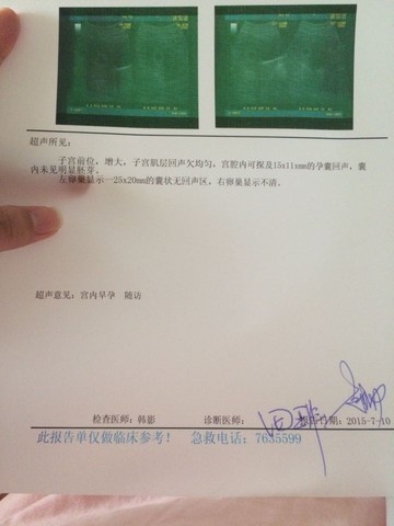 journal_insert_pic_254499718