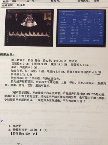 journal_insert_pic_254466428