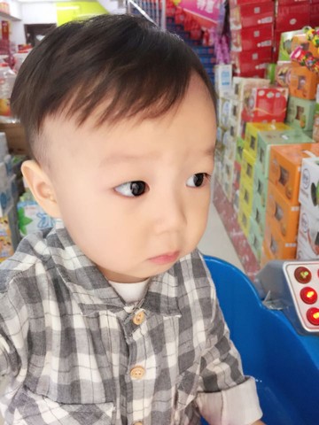 journal_insert_pic_255310357