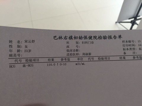 journal_insert_pic_255523149