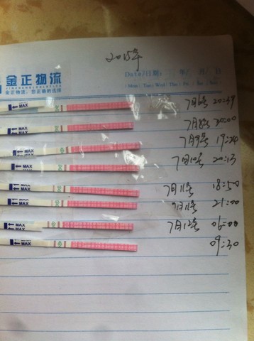 journal_insert_pic_255269902