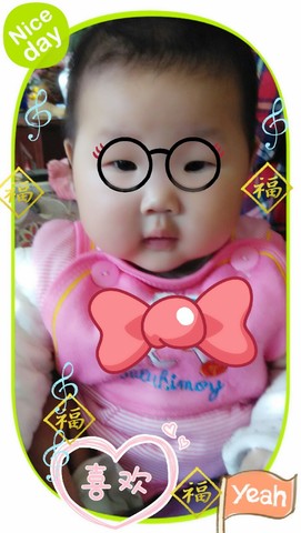 journal_insert_pic_255332735