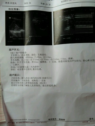 journal_insert_pic_255821259