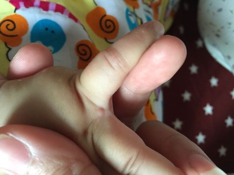 journal_insert_pic_255821069